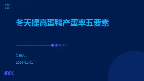 冬天提高蛋鸭产蛋率五要素