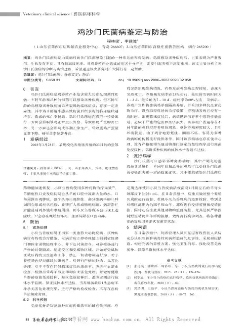 鸡沙门氏菌病鉴定与防治