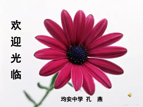 打造靓丽开头——议论文开头方法训练1