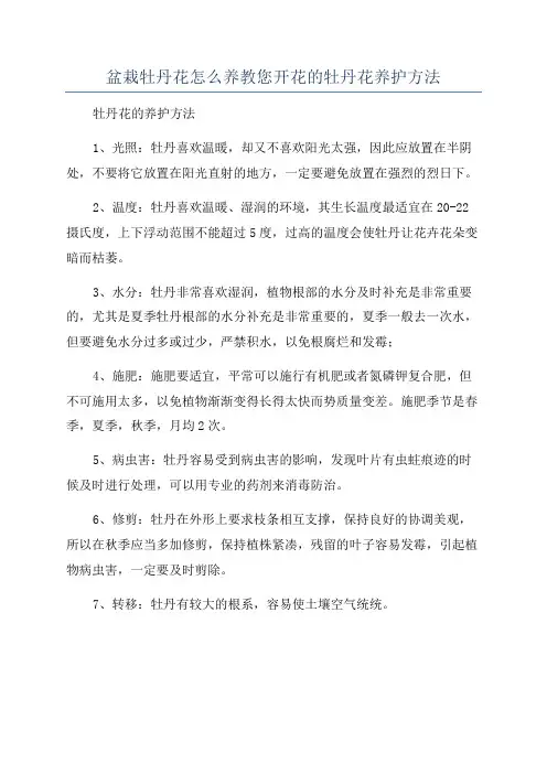 盆栽牡丹花怎么养教您开花的牡丹花养护方法