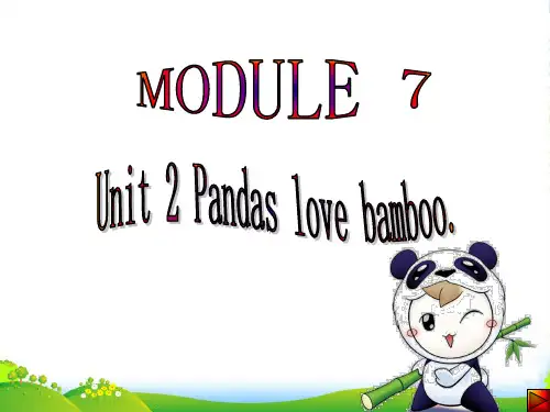 新外研版六年级英语上册Module 7 Unit 2 Pandas love bambo