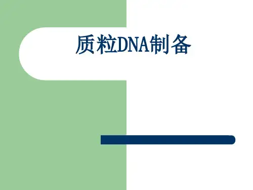 质粒DNA制备课件
