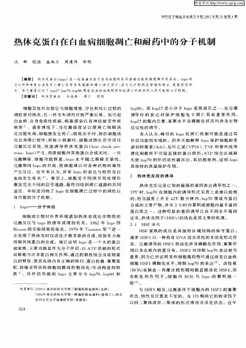 热休克蛋白在白血病细胞凋亡和耐药中的分子机制