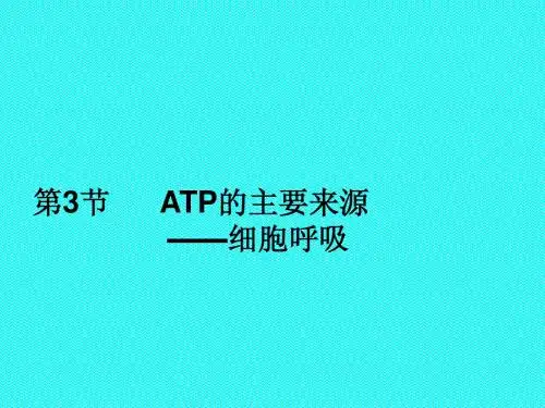 人教版教学课件ATP的来源--细胞呼吸说课课件