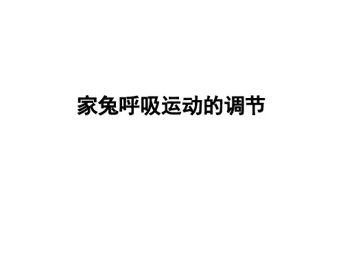家兔呼吸运动的调节