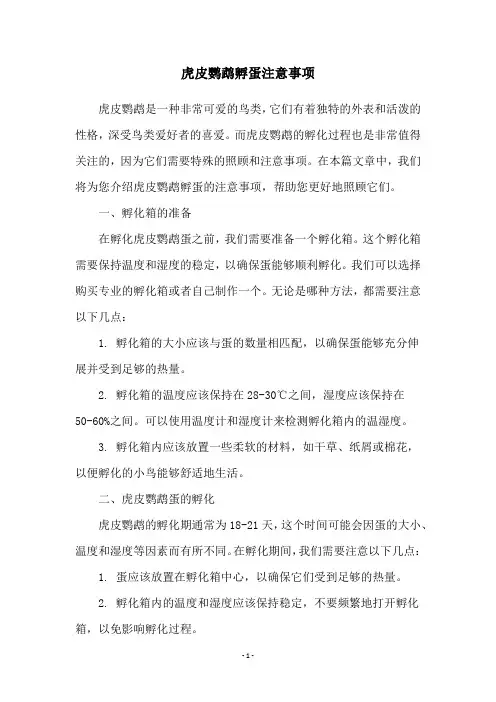 虎皮鹦鹉孵蛋注意事项