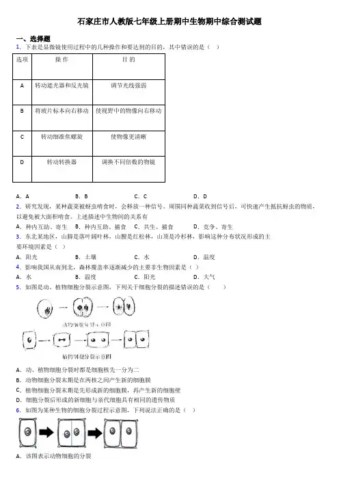 石家庄市人教版七年级上册期中生物期中综合测试题