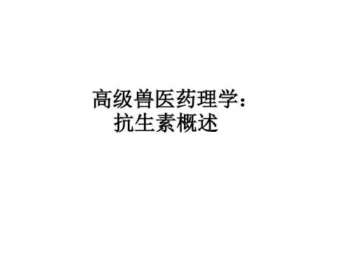 高级兽医药理学：抗生素概述ppt课件