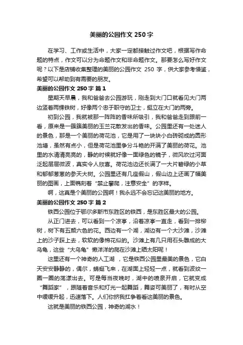 美丽的公园作文250字