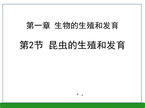 《昆虫的生殖和发育》PPT