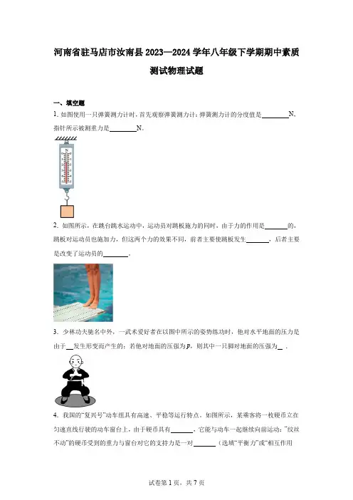 河南省驻马店市汝南县2023—2024学年八年级下学期期中素质测试物理试题