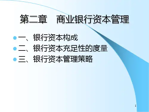 第二章商业银行的资本管理PPT课件