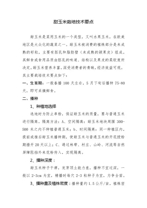 甜玉米栽培技术要点
