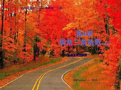 九年级数学上册 第4章 锐角三角函数 4.3 解直角三角形教学课件