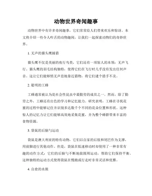 动物世界奇闻趣事