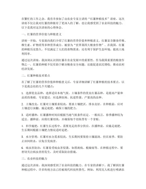 专家种红薯讲座心得体会