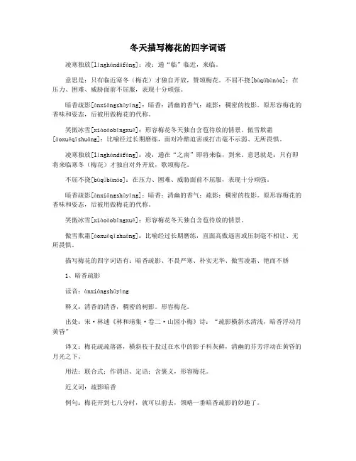 冬天描写梅花的四字词语