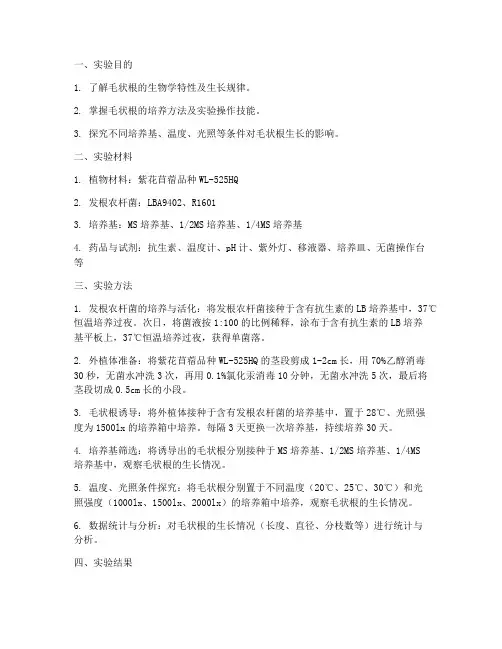 毛状根实验报告