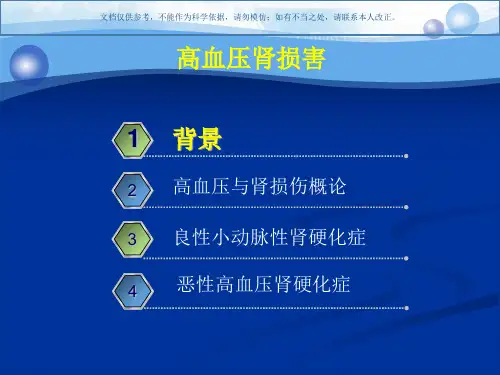 高血压肾损害课件