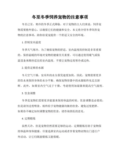 冬至冬季饲养宠物的注意事项