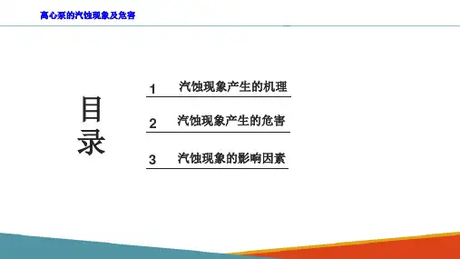 泵—离心泵的汽蚀现象