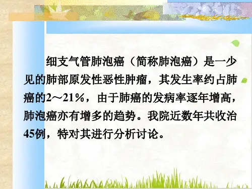 细支气管肺泡癌的影向像诊断PPT.