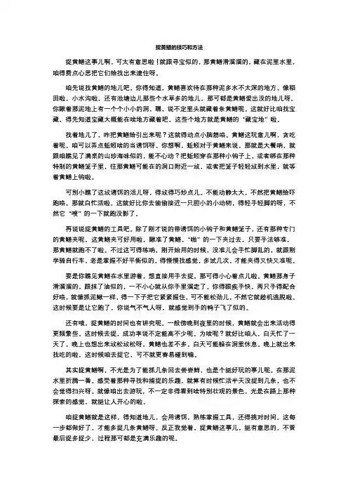 捉黄鳝的技巧和方法