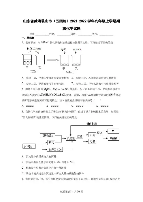 山东省威海乳山市(五四制)2021-2022学年九年级上学期期末化学试题(word版 含答案)