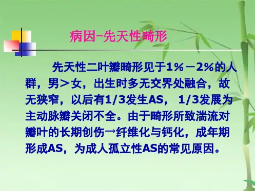 第8版内科学课件主动脉瓣狭窄(共28张PPT)