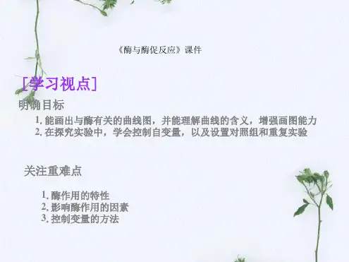 苏教版高中生物必修1课件酶与酶促反应课件2