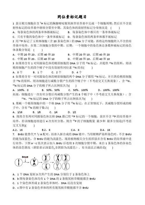 同位素标记题