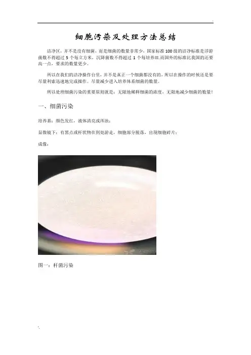 细胞污染及处理方法