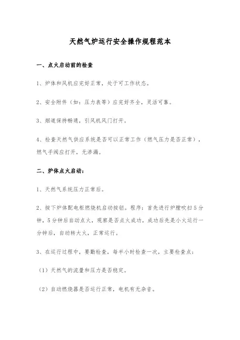 天然气炉运行安全操作规程范本