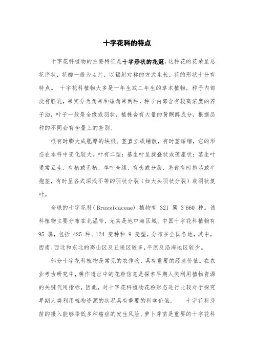 十字花科的特点