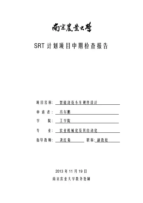 中期检查报告