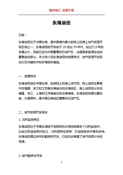 东海油田_精品文档
