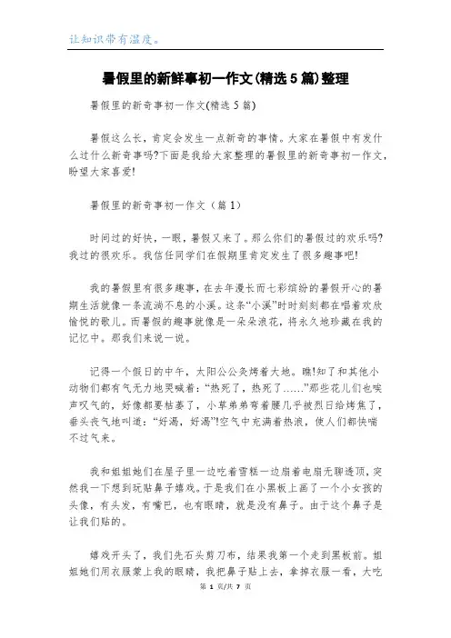 暑假里的新鲜事初一作文(精选5篇)整理
