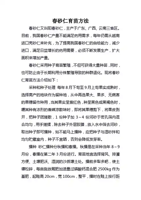 春砂仁育苗方法