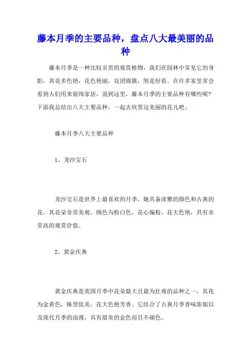 藤本月季的主要品种,盘点八大最美丽的品种