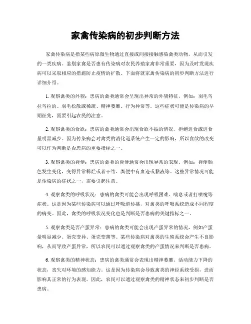 家禽传染病的初步判断方法