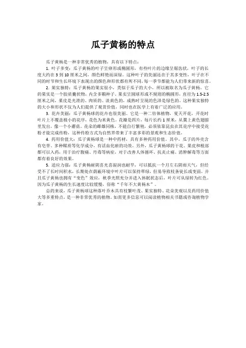 瓜子黄杨的特点