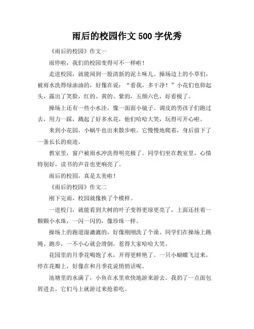 雨后的校园作文500字优秀