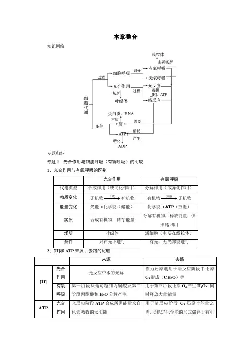 人教版高中生物必修1 章末整合第5章 细胞的能量供应和利用