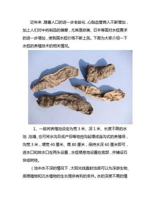 蚂蟥养殖技术