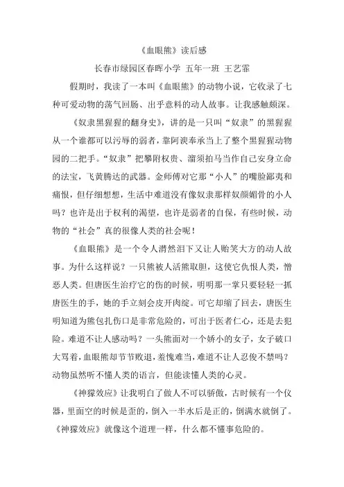 血眼熊读后感