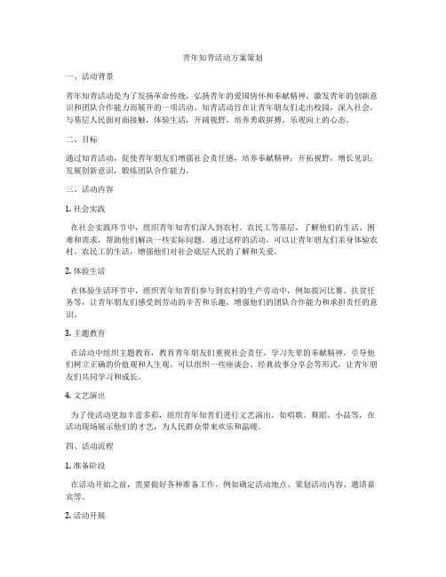 青年知青活动方案策划