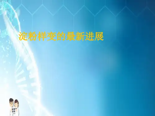 淀粉样变的最新进展PPT课件