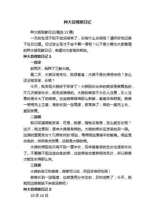 种大蒜观察日记