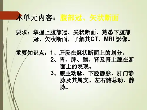 断层解剖学之腹部冠状面矢状面