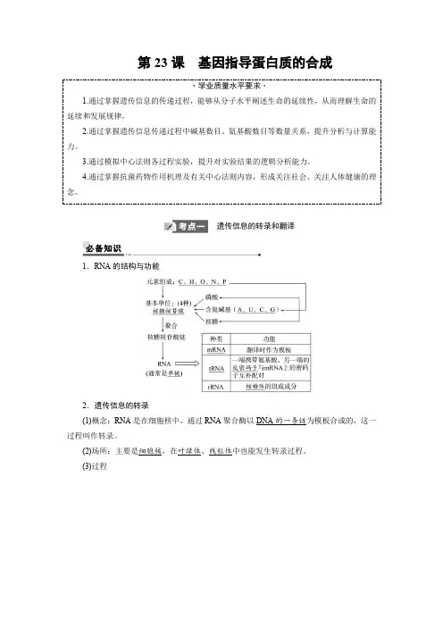 2025年高考生物一轮复习26第六单元第23课基因指导蛋白质的合成